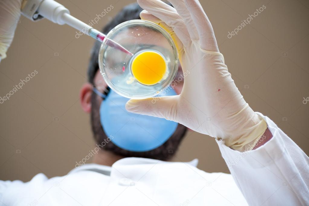 Egg fertilization by a scientist — Stock Photo © rmbarricarte 99229162