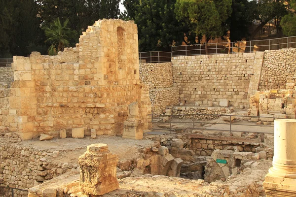 Ruines excavées de la piscine de Bethesda et de l'église — Photo