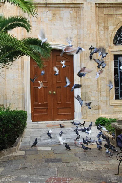 Pigeons Devant Une Porte Latérale Église Ayios Titos Près Rue — Photo