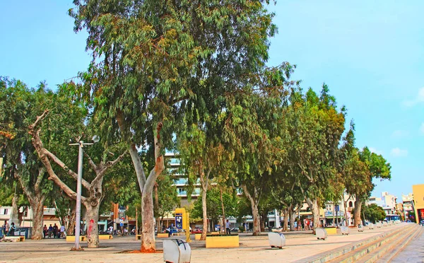 그리스 크레타의 헤라클 2018 그리스 크레타의 헤라클 리온에 나무들이 붐비는 — 스톡 사진