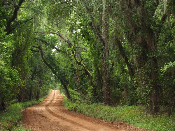 Chemin de campagne couvert d'argile rouge — Photo