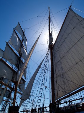 güneşli yelken yelkenli gemi.
