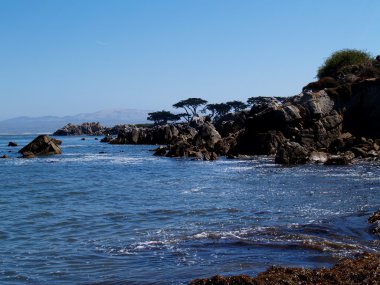 Pasifik Okyanusu üzerinde kayalık sahil.