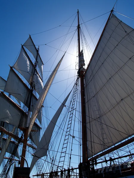 Sunny Sails of a sailing ship. — Stock Photo, Image