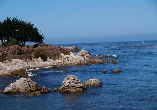 Californië kustlijn park — Stockfoto