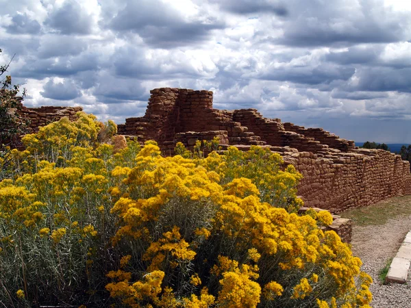 Mesa Verde — Φωτογραφία Αρχείου