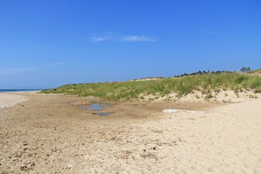 Dunes Ludington State Park Michigan