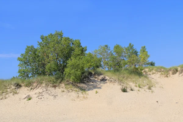 Dunas en Ludington State Park en Michigan — Foto de Stock