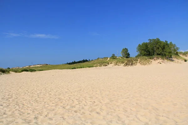 Wydmy w Ludington State Park w stanie Michigan — Zdjęcie stockowe