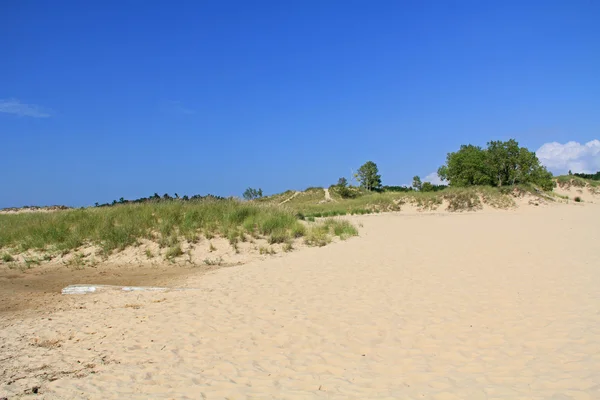 Dunes in Ludington State Park in Michigan — Stock Photo, Image