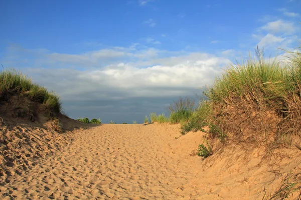 Dune di sabbia lungo il lago Michigan, USA — Foto Stock