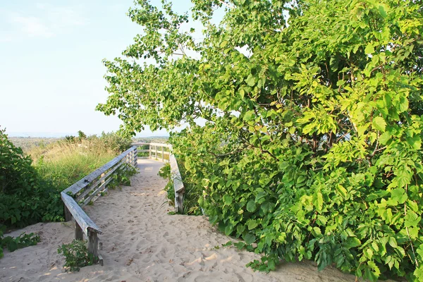 Dune di sabbia lungo il lago Michigan, USA — Foto Stock