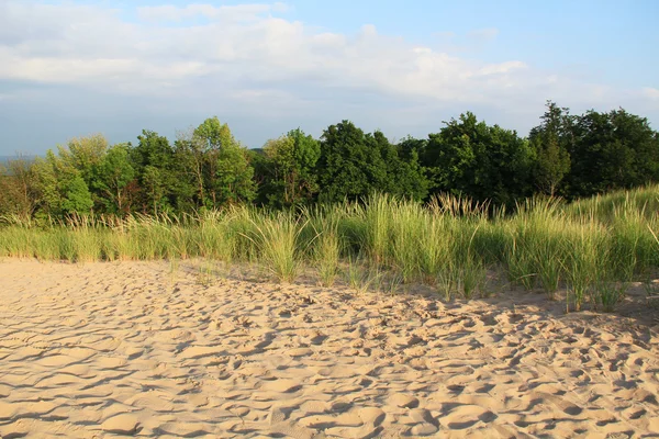 Dune di sabbia lungo il lago Michigan, USA — Foto Stock