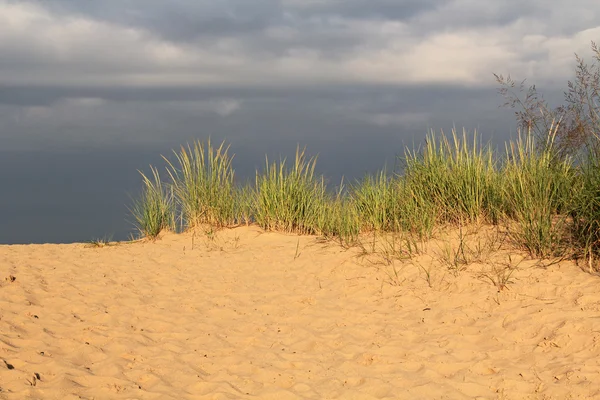 Песчаные дюны вдоль озера Мичиган, США — стоковое фото