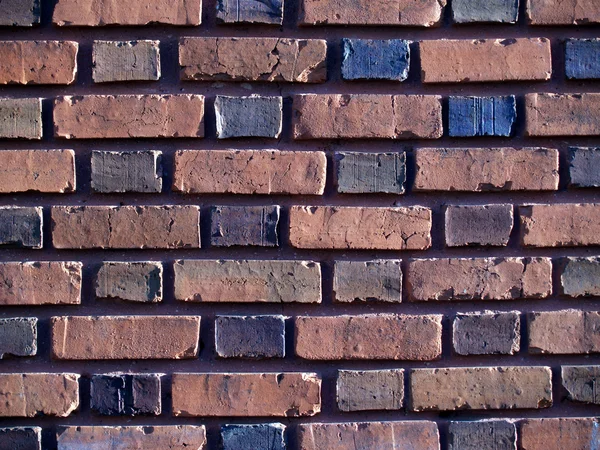 Parede de tijolo multi-colorido Duo-dimensionado — Fotografia de Stock