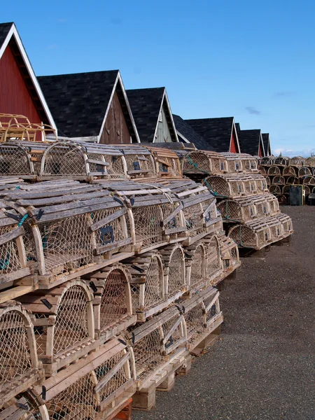 Pièges à homard sur le quai — Photo