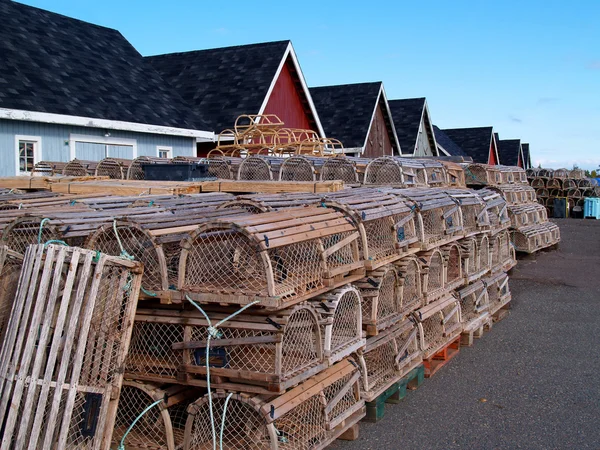 Pièges à homard sur le quai — Photo