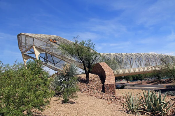 Rattlesnake Bridge in Tucson Arizona — Stock Photo, Image