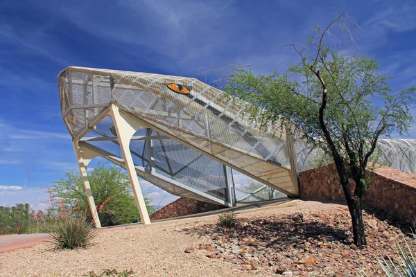 Puente de la serpiente de cascabel en Tucson Arizona —  Fotos de Stock