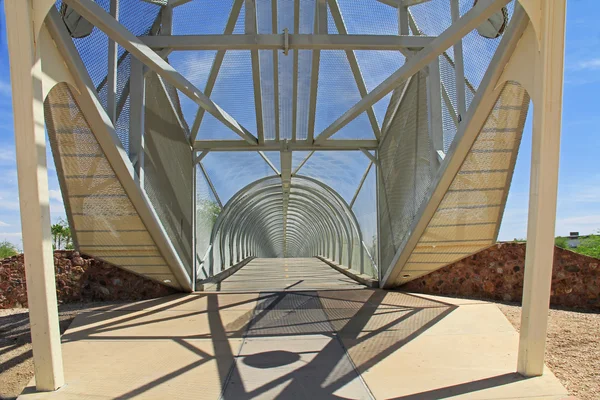 Puente de la serpiente de cascabel en Tucson Arizona — Foto de Stock