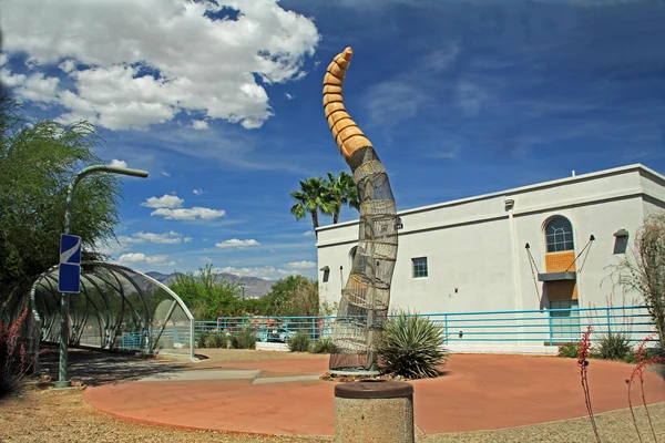 Puente de la serpiente de cascabel en Tucson Arizona — Foto de Stock