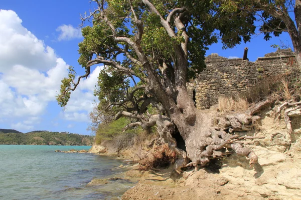 Kanon visas på brittiska Fort James som byggdes för att skydda St. Johns Harbour på Antigua Barbuda i Västindien Västindien små Antillerna. — Stockfoto