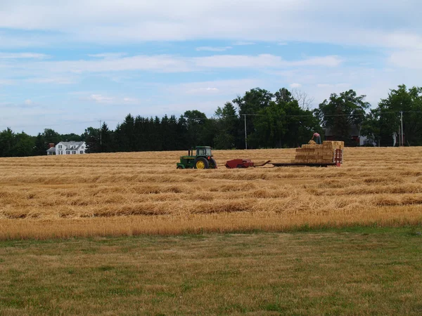 トラクターとたての分野で働いているベーラー カット小麦わらベールができて行に積まれて. — ストック写真