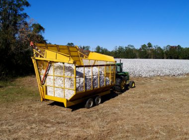 Arka planda bir pamuk alanla yük dökümü için modül Oluşturucuyu doğru koza adamcağız başlık yüklü.