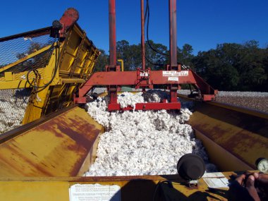 Aşağı Paketli bir pamuk modülü Oluşturucu
