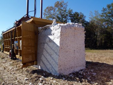 A module builder driving away and leaving a completed cotton module in the field. clipart
