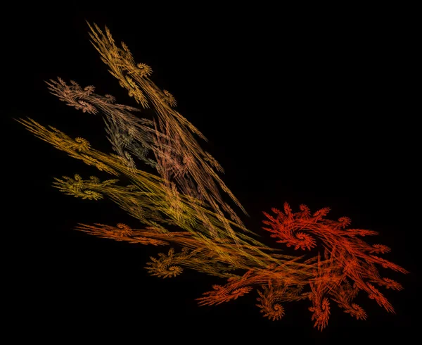 Frond shaped fractal in fall colors of red, orange, gold, and Yellow on a black background. — Stock Photo, Image