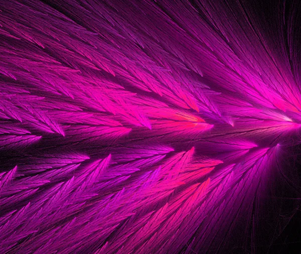 Fractal de penas coloridas rosa e roxo quente em forma semelhante às asas de papagaio . — Fotografia de Stock