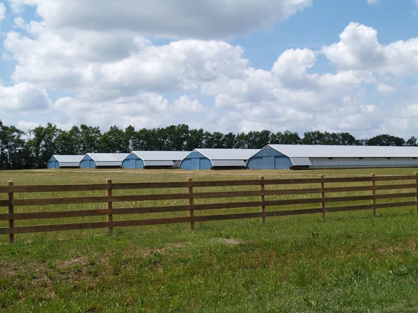 Farm buildings found in rural Georgia behind a board fence. — Stock Photo, Image