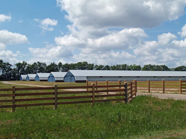 Bâtiments agricoles trouvés en Géorgie rurale derrière une clôture de conseil . — Photo