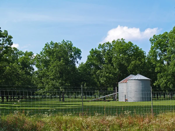 Två silos sitter bredvid en pecan grove i Sydgeorgien. — Stockfoto