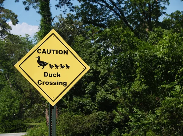 Amarelo diamante cautela pato sinal de travessia ao lado de uma estrada . — Fotografia de Stock