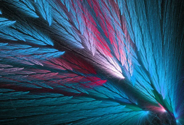 Rosa y azul, o verde azulado o aqua con forma fractal de pluma similar a las alas de loro . — Foto de Stock