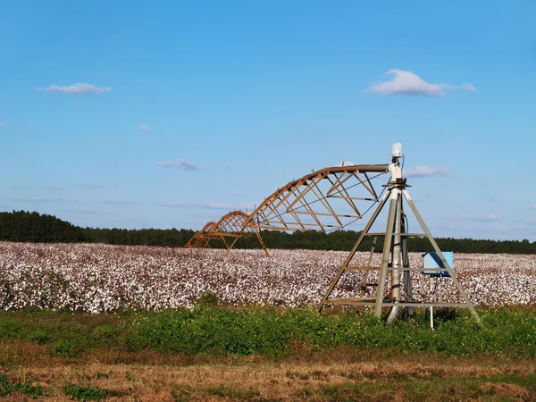 Center pivoting irrigation system over a ripe cotton field in south Georgia. — Stock Photo, Image