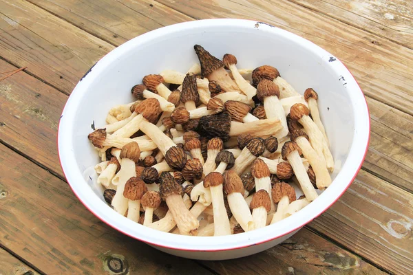 White Dishpan with Morel Mushrooms — Stock Photo, Image