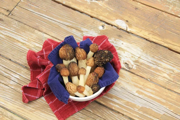 Wild Morel Mushrooms in a Crock with Towels — Stock Photo, Image