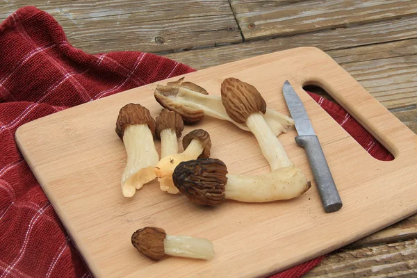 Wild Moral Mushrooms on a Cutting Board — Stock Photo, Image