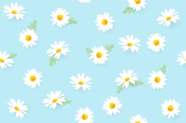 Mavi arka planda beyaz papatya çiçekleri. EPS10.