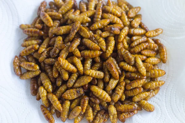 Calentamientos Seda Fritos Ponen Placa Blanca Como Fondo Una Proteína — Foto de Stock