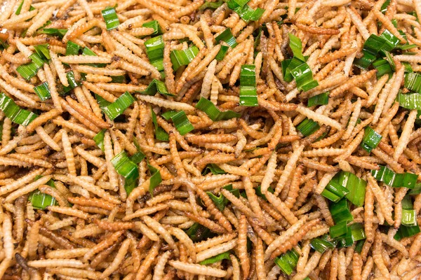 竹虫煎 油炸昆虫是一种高蛋白食品 它的栖息地是竹林和泰国北部较凉爽地区的森林 — 图库照片