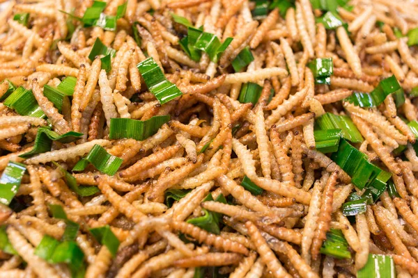 Bamboo Worm Fried Fried Insects High Protein Foods Its Habitat — Stock Photo, Image