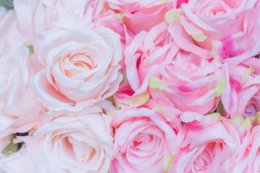 Sevgililer günü konsepti olarak bulanık arkaplanı olan pek çok soluk pembe gülü kapat.