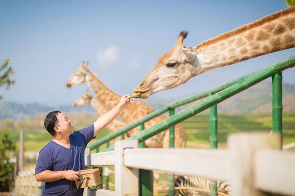 Homem Asiático Que Amante Animais Está Dando Frutas Alimentos Para — Fotografia de Stock