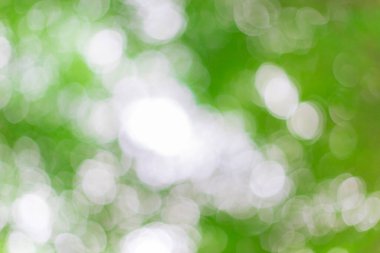 Yeşil bokeh odak arkaplanından doğa ışığından uzaklaşıyor.