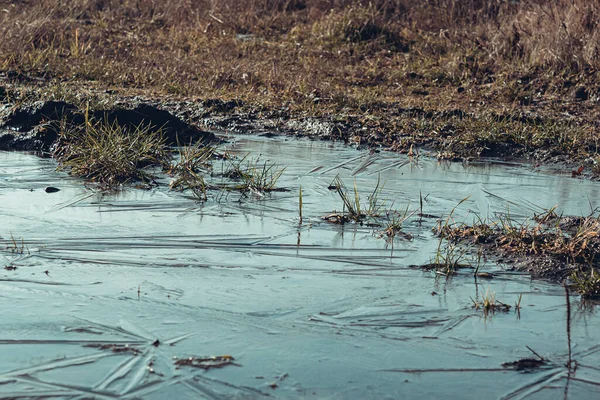 Charco Pantano Están Cubiertos Hielo Hielo Las Heladas Ataron Pantano — Foto de Stock