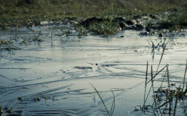 Su birikintisi ve bataklık buzla kaplı. Buz ve buz bataklıkla çamuru birbirine bağladı. Karlı bir ormanda manzara. Kış ve kış boyunca bataklık.